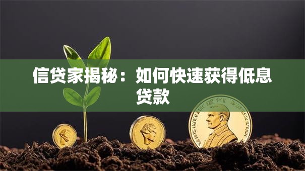 信贷家揭秘：如何快速获得低息贷款
