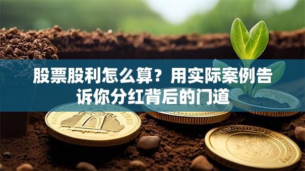 股票股利怎么算？用实际案例告诉你分红背后的门道