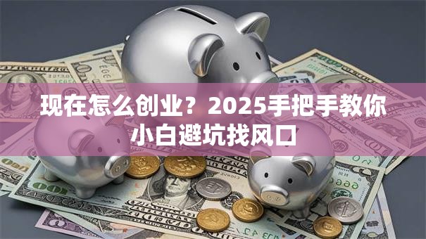 现在怎么创业？2025手把手教你小白避坑找风口