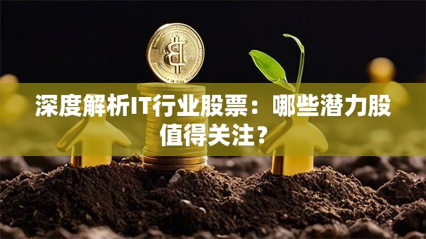 深度解析IT行业股票：哪些潜力股值得关注？