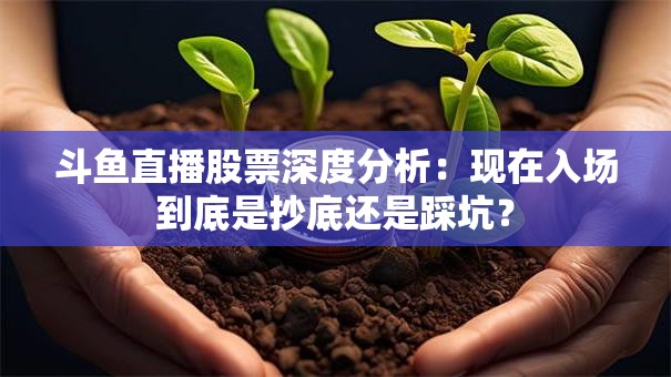 斗鱼直播股票深度分析：现在入场到底是抄底还是踩坑？