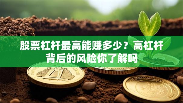 股票杠杆最高能赚多少？高杠杆背后的风险你了解吗
