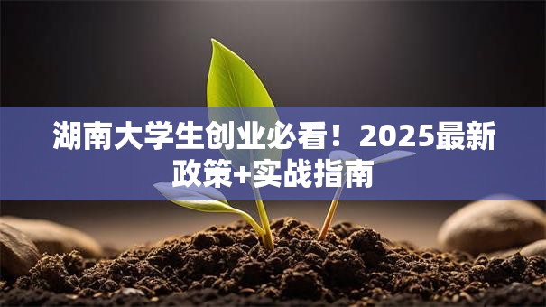 湖南大学生创业必看！2025最新政策+实战指南