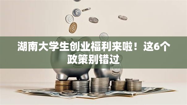 湖南大学生创业福利来啦！这6个政策别错过