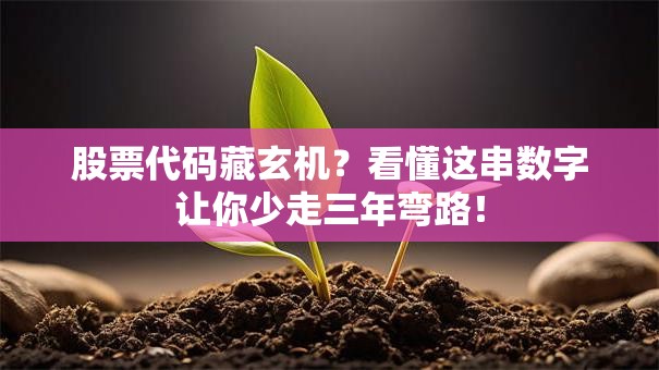 股票代码藏玄机？看懂这串数字让你少走三年弯路！