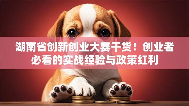 湖南省创新创业大赛干货！创业者必看的实战经验与政策红利