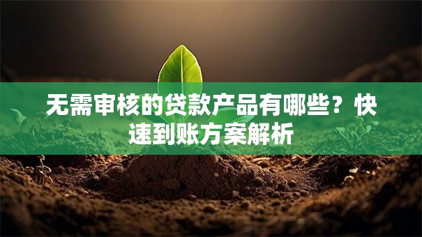 无需审核的贷款产品有哪些？快速到账方案解析