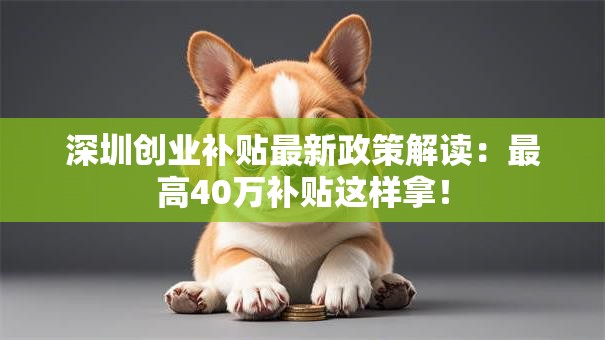 深圳创业补贴最新政策解读：最高40万补贴这样拿！