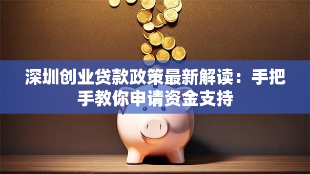 深圳创业贷款政策最新解读：手把手教你申请资金支持