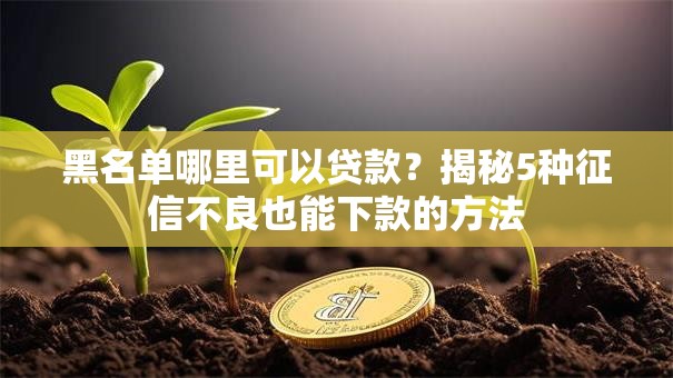 黑名单哪里可以贷款？揭秘5种征信不良也能下款的方法