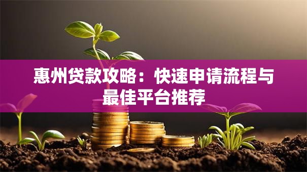 惠州贷款攻略：快速申请流程与最佳平台推荐