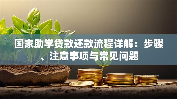 国家助学贷款还款流程详解：步骤、注意事项与常见问题
