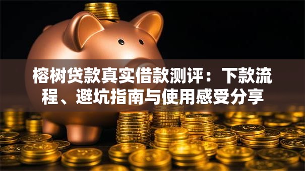 榕树贷款真实借款测评：下款流程、避坑指南与使用感受分享