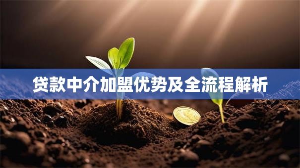 贷款中介加盟优势及全流程解析