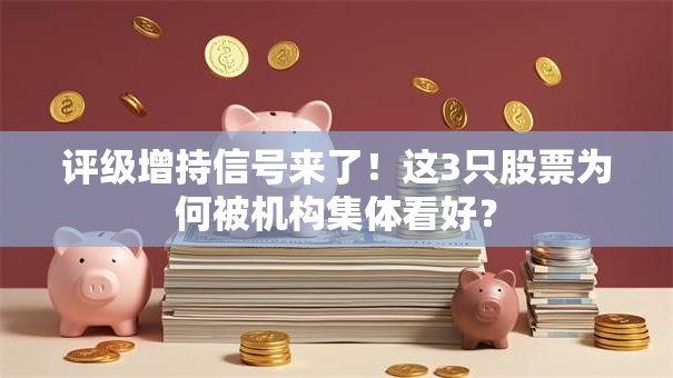 评级增持信号来了！这3只股票为何被机构集体看好？