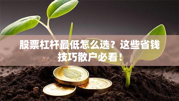 股票杠杆最低怎么选？这些省钱技巧散户必看！