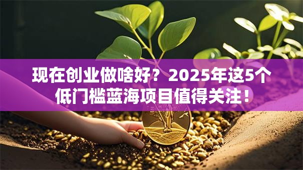 现在创业做啥好？2025年这5个低门槛蓝海项目值得关注！