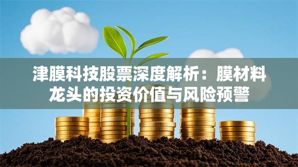 津膜科技股票深度解析：膜材料龙头的投资价值与风险预警