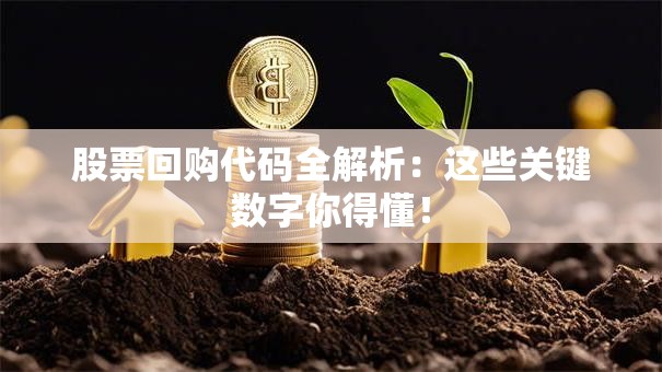 股票回购代码全解析：这些关键数字你得懂！