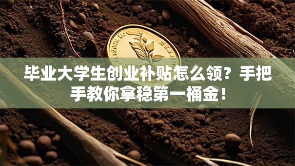 毕业大学生创业补贴怎么领？手把手教你拿稳第一桶金！