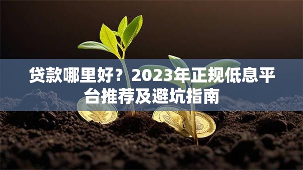 贷款哪里好？2023年正规低息平台推荐及避坑指南
