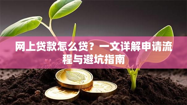 网上贷款怎么贷？一文详解申请流程与避坑指南