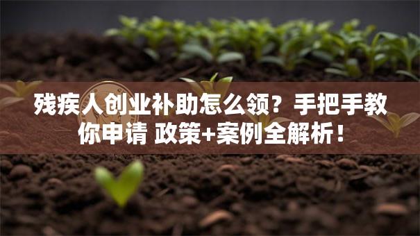 残疾人创业补助怎么领？手把手教你申请 政策+案例全解析！