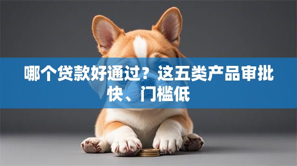 哪个贷款好通过？这五类产品审批快、门槛低