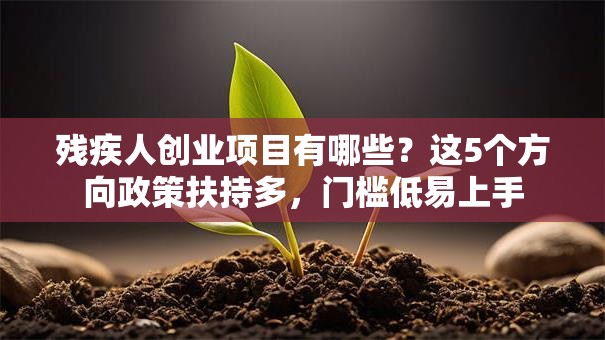 残疾人创业项目有哪些？这5个方向政策扶持多，门槛低易上手