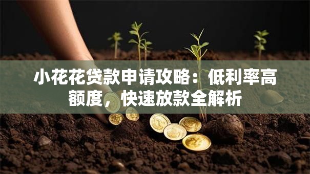 小花花贷款申请攻略：低利率高额度，快速放款全解析