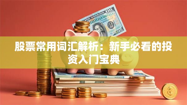 股票常用词汇解析：新手必看的投资入门宝典