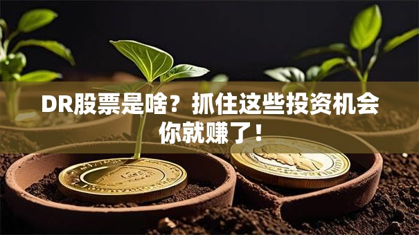 DR股票是啥？抓住这些投资机会你就赚了！