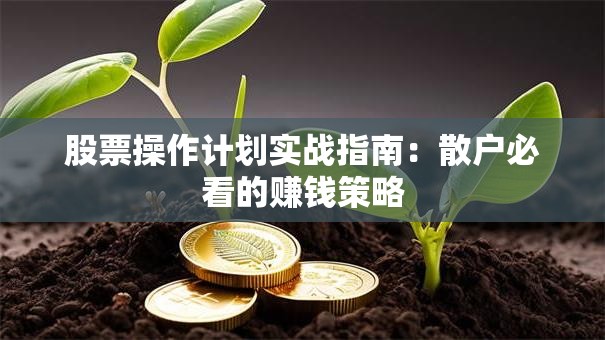 股票操作计划实战指南：散户必看的赚钱策略
