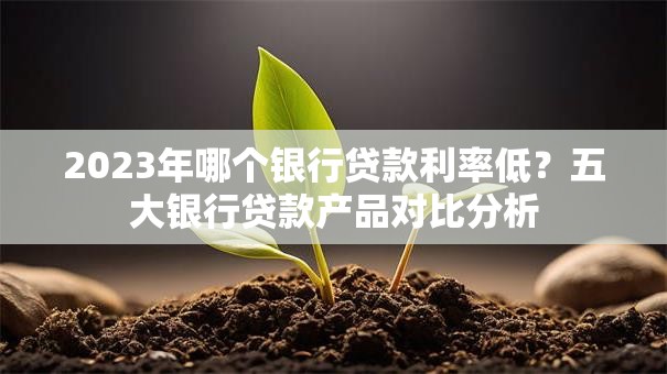2023年哪个银行贷款利率低？五大银行贷款产品对比分析