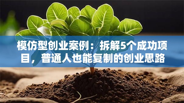 模仿型创业案例：拆解5个成功项目，普通人也能复制的创业思路