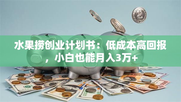 水果捞创业计划书：低成本高回报，小白也能月入3万+