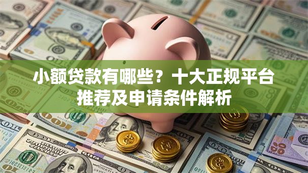 小额贷款有哪些？十大正规平台推荐及申请条件解析