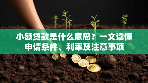 小额贷款是什么意思？一文读懂申请条件、利率及注意事项