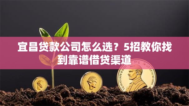 宜昌贷款公司怎么选？5招教你找到靠谱借贷渠道