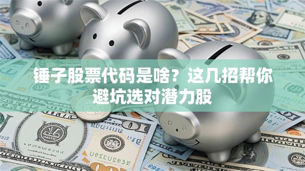 锤子股票代码是啥？这几招帮你避坑选对潜力股