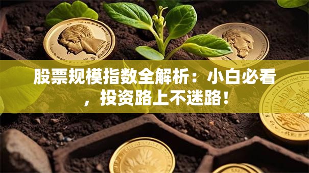 股票规模指数全解析：小白必看，投资路上不迷路！