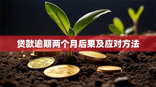 贷款逾期两个月后果及应对方法
