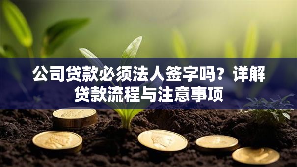 公司贷款必须法人签字吗？详解贷款流程与注意事项