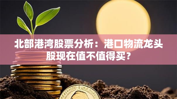 北部港湾股票分析：港口物流龙头股现在值不值得买？