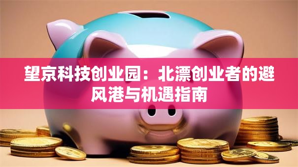望京科技创业园：北漂创业者的避风港与机遇指南