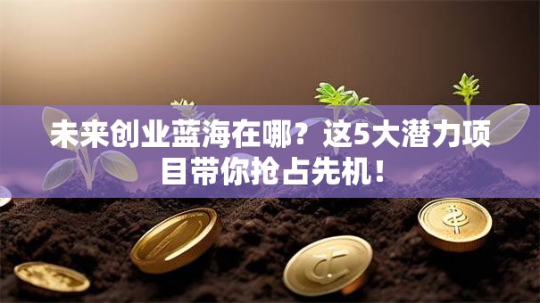 未来创业蓝海在哪？这5大潜力项目带你抢占先机！