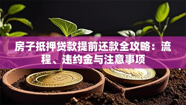 房子抵押贷款提前还款全攻略：流程、违约金与注意事项