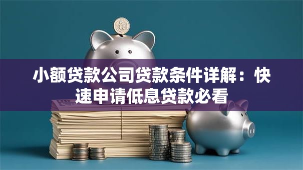 小额贷款公司贷款条件详解：快速申请低息贷款必看