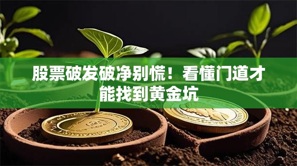 股票破发破净别慌！看懂门道才能找到黄金坑