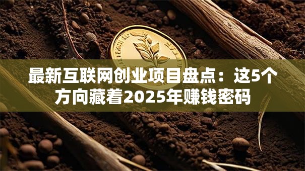 最新互联网创业项目盘点：这5个方向藏着2025年赚钱密码